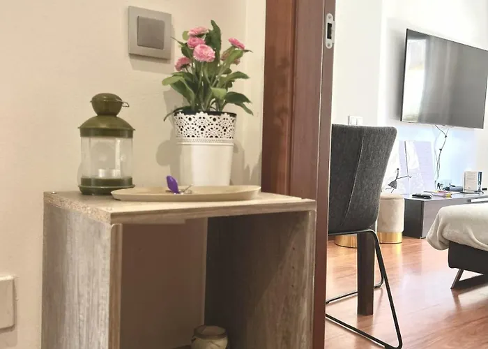 Reina In Appartement